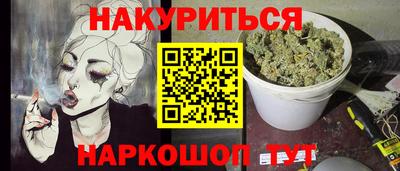 крисы Новокубанск