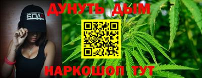 ешки Новодвинск