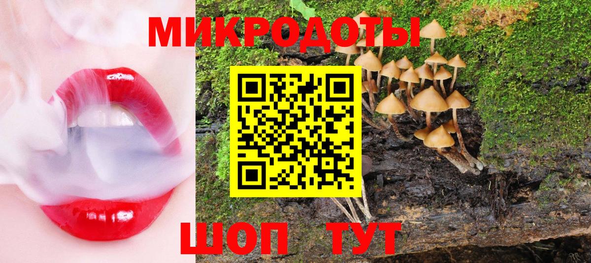 Галлюциногенные грибы Psilocybe  дарнет шоп  Вход с VPN  Салехард  Псилоцибиновые грибы мухоморы 